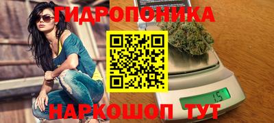 гашик Гусь-Хрустальный