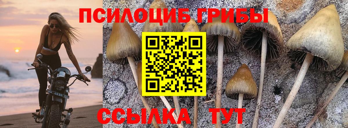 Псилоцибиновые грибы Cubensis  Псилоцибиновые грибы MAGIC MUSHROOMS  Моздок  Вход с VPN 