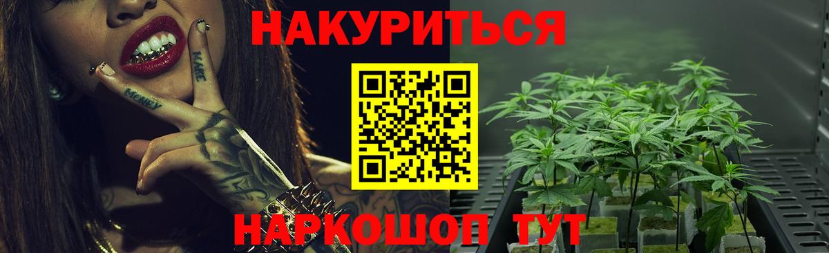 Конопля White Widow  Шишки марихуана план  Шишки марихуана Amnesia  Вход с VPN  Моздок 